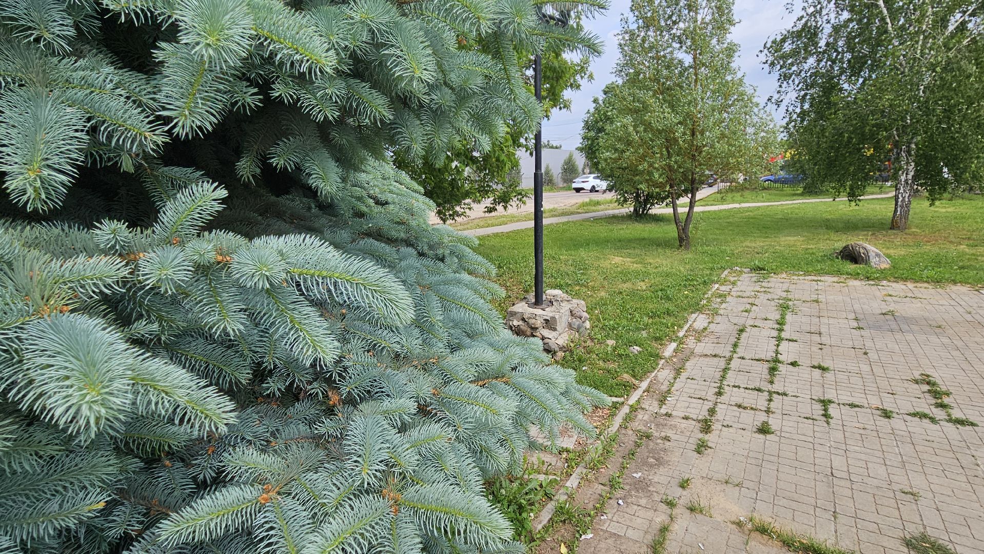 пушкин, софьино, благоустройство, раменское,
