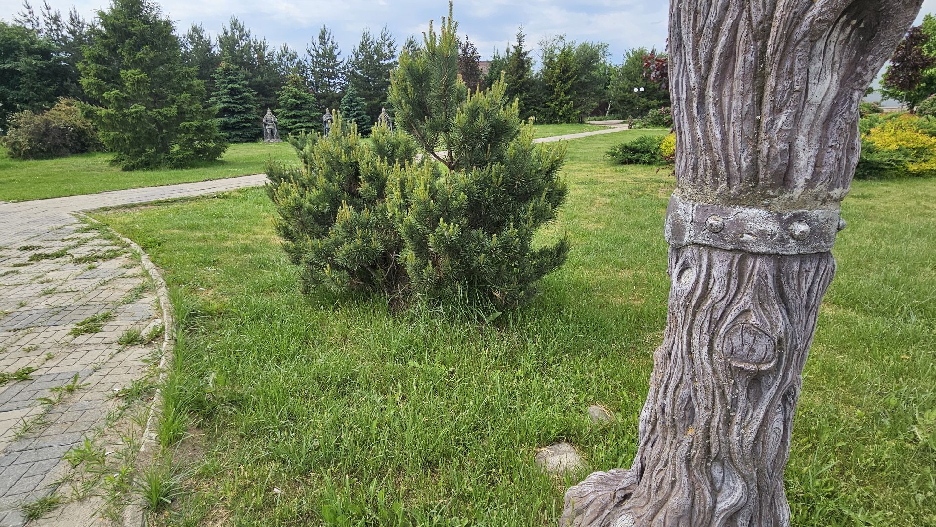 пушкин, софьино, благоустройство, раменское,