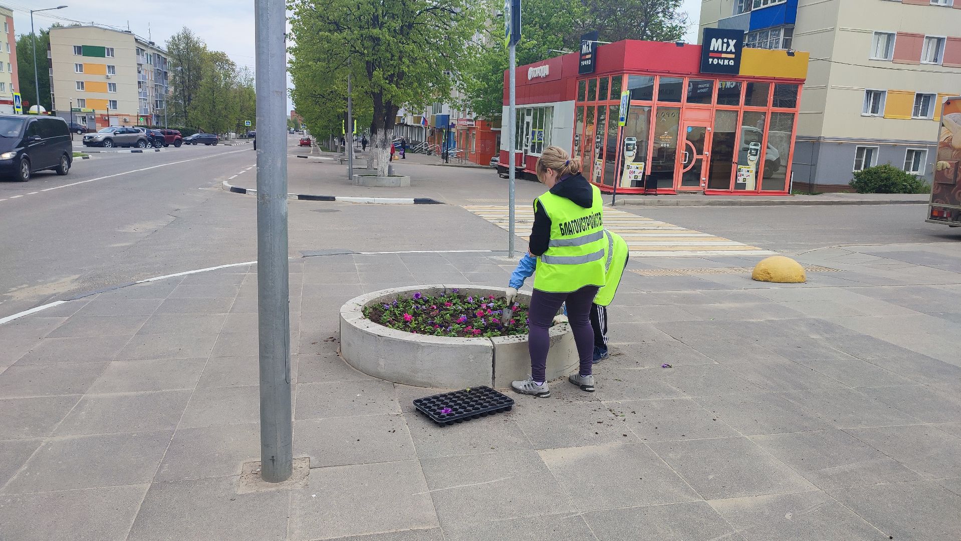 Кашира, благоустройство, ЖКХ, цветы, петуньи