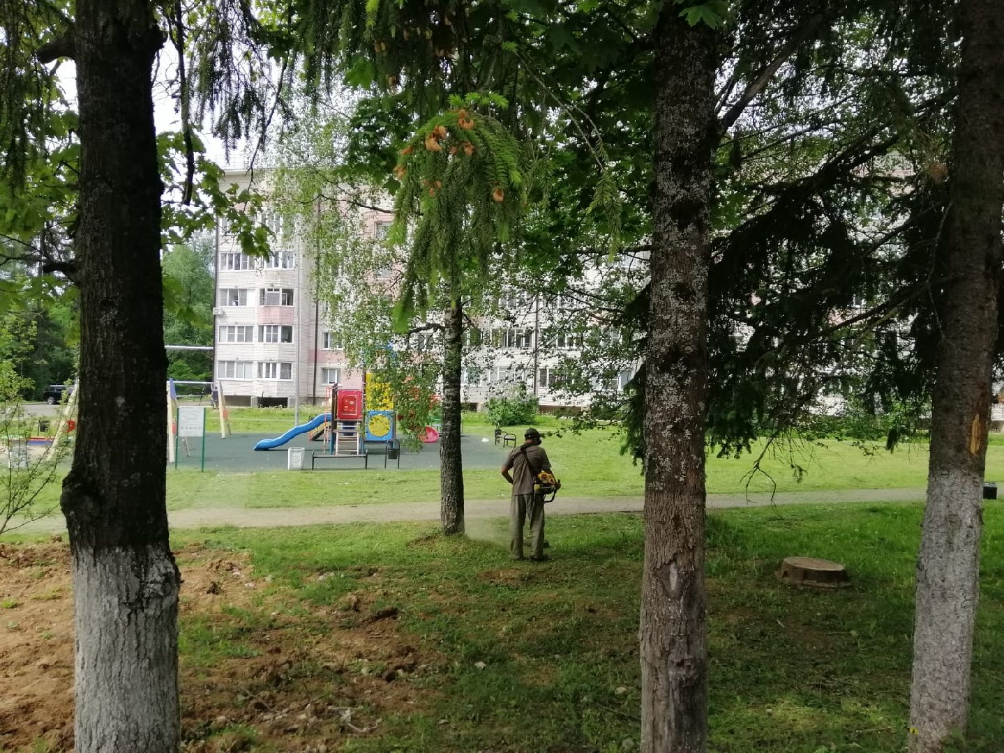 городской округ восход, благоустройство, газон, покос травы,