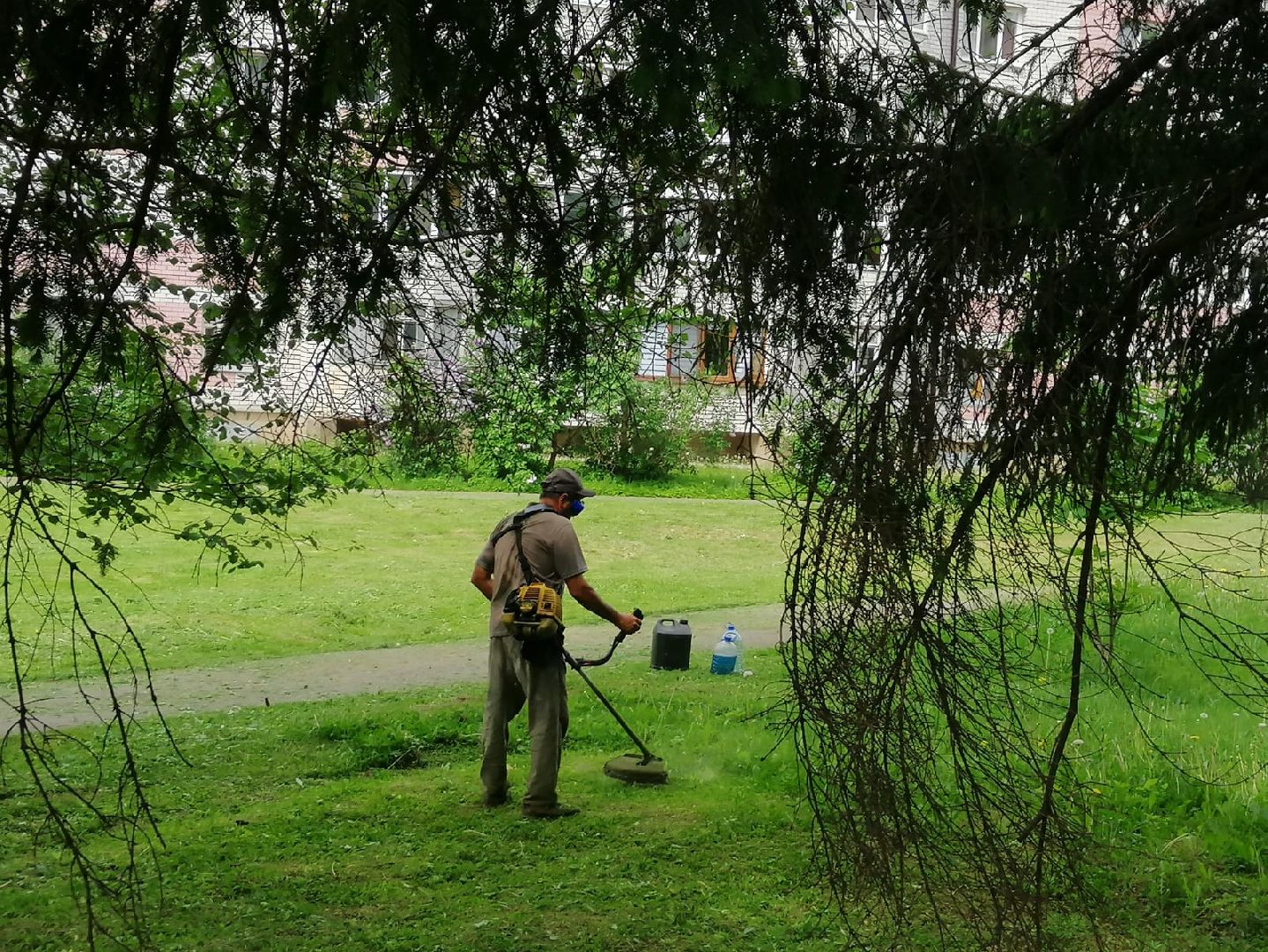 городской округ восход, благоустройство, газон, покос травы,