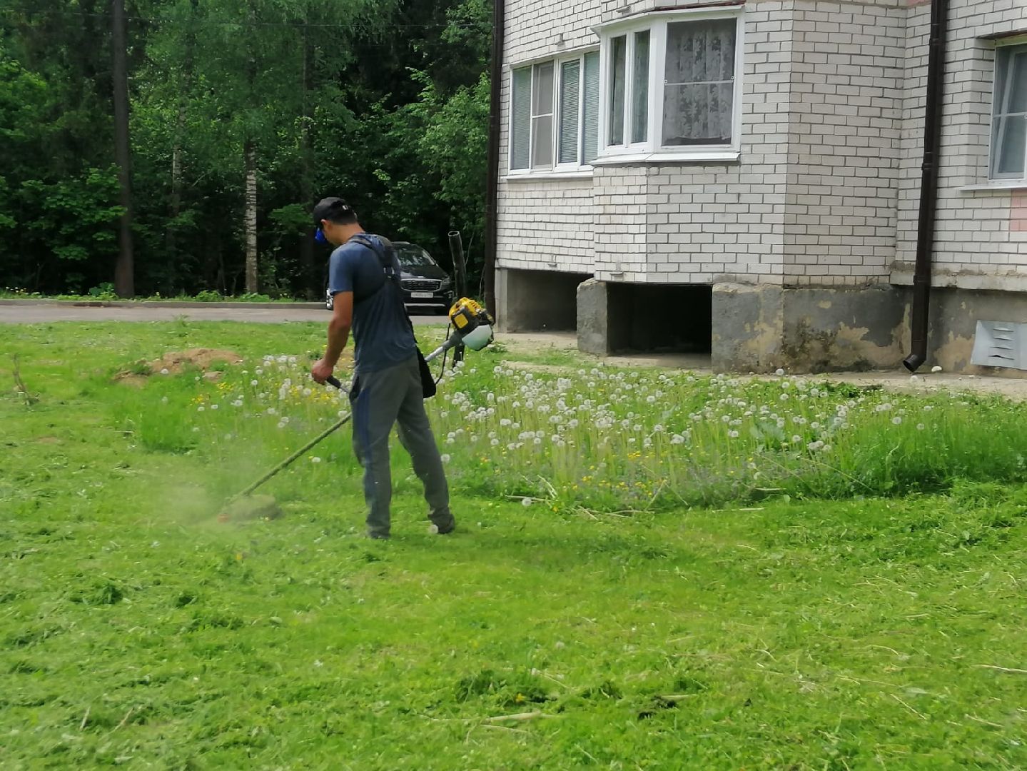 городской округ восход, благоустройство, газон, покос травы,