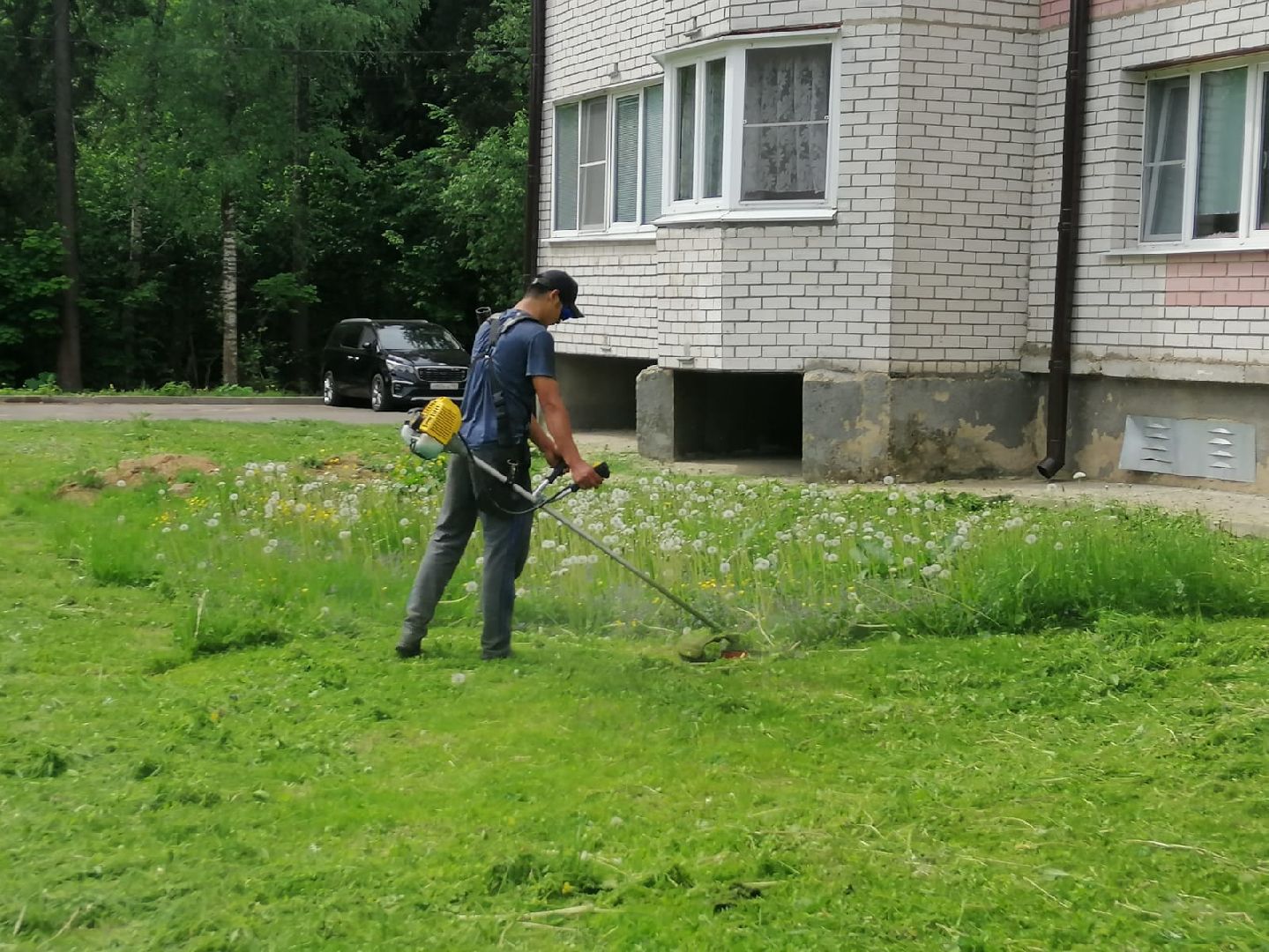 городской округ восход, благоустройство, газон, покос травы,
