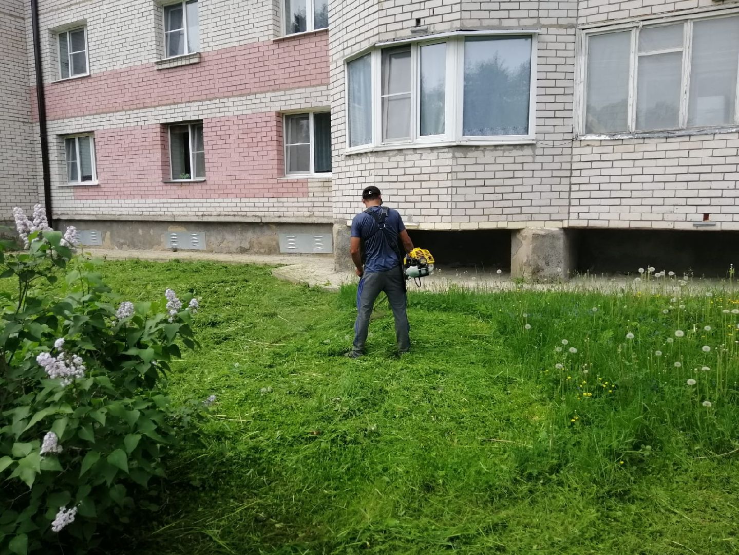 городской округ восход, благоустройство, газон, покос травы,