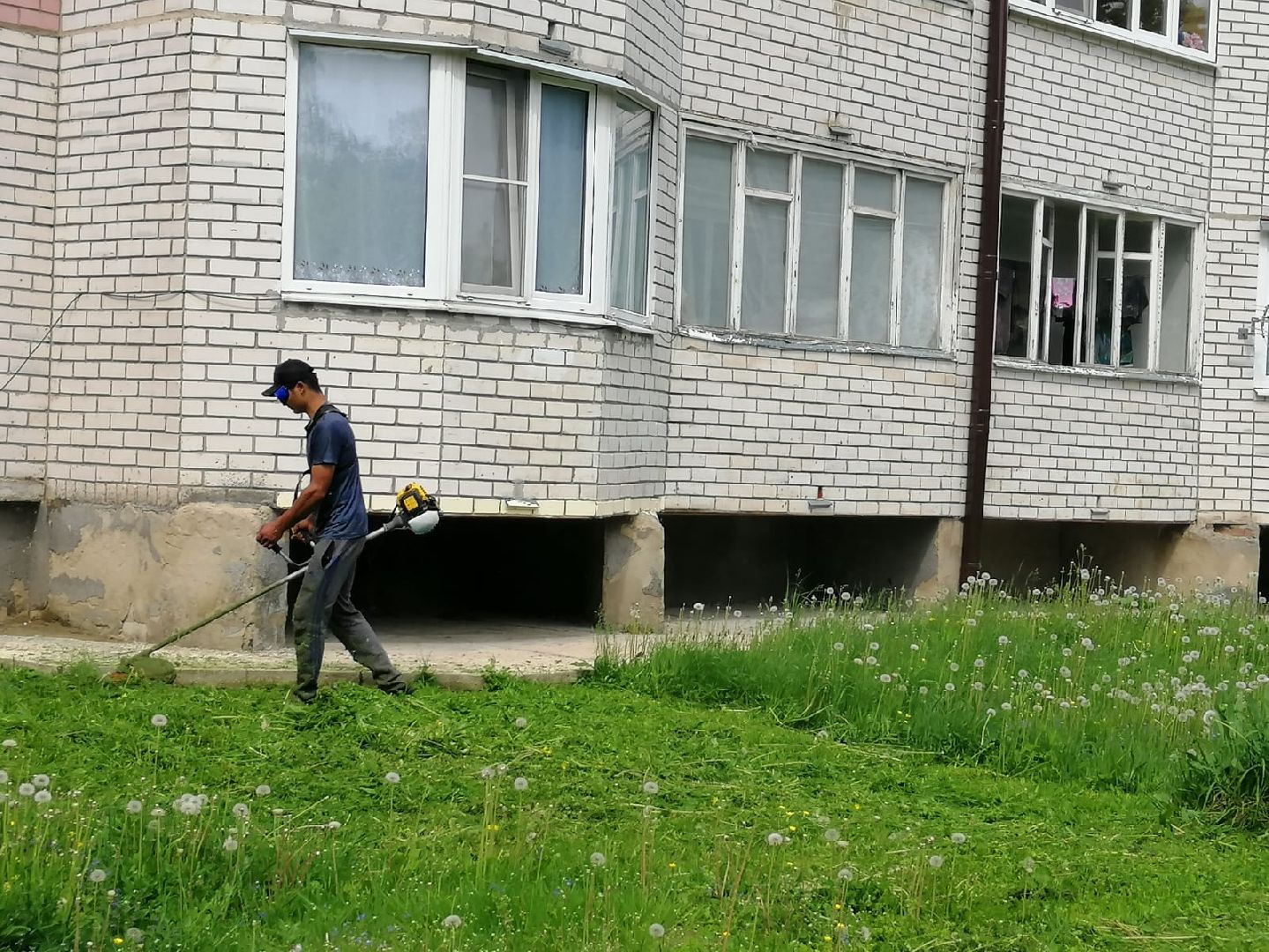 городской округ восход, благоустройство, газон, покос травы,