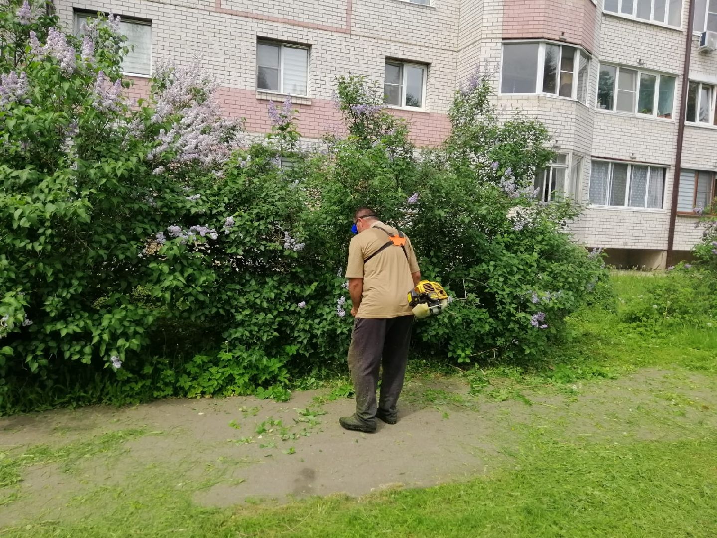 городской округ восход, благоустройство, газон, покос травы,