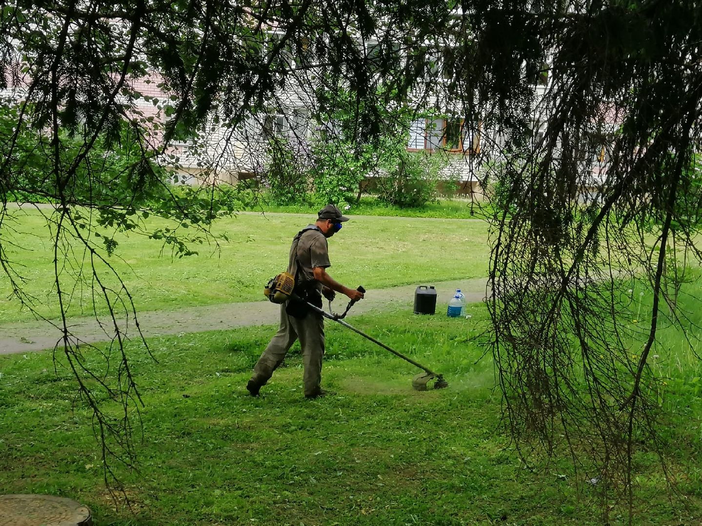 городской округ восход, благоустройство, газон, покос травы,