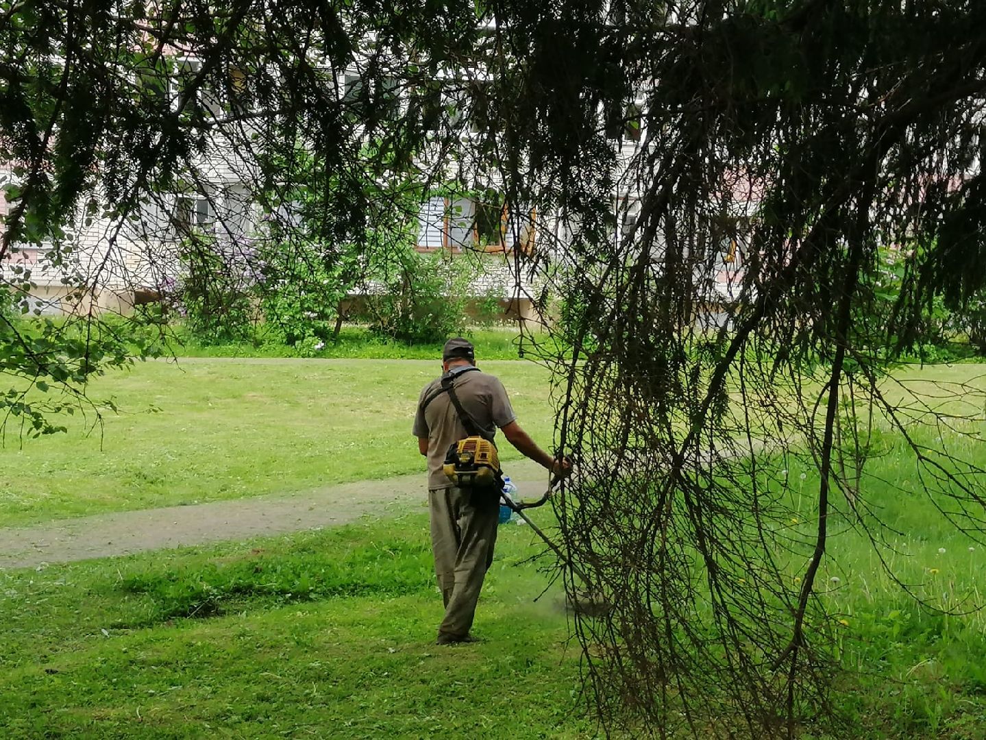 городской округ восход, благоустройство, газон, покос травы,