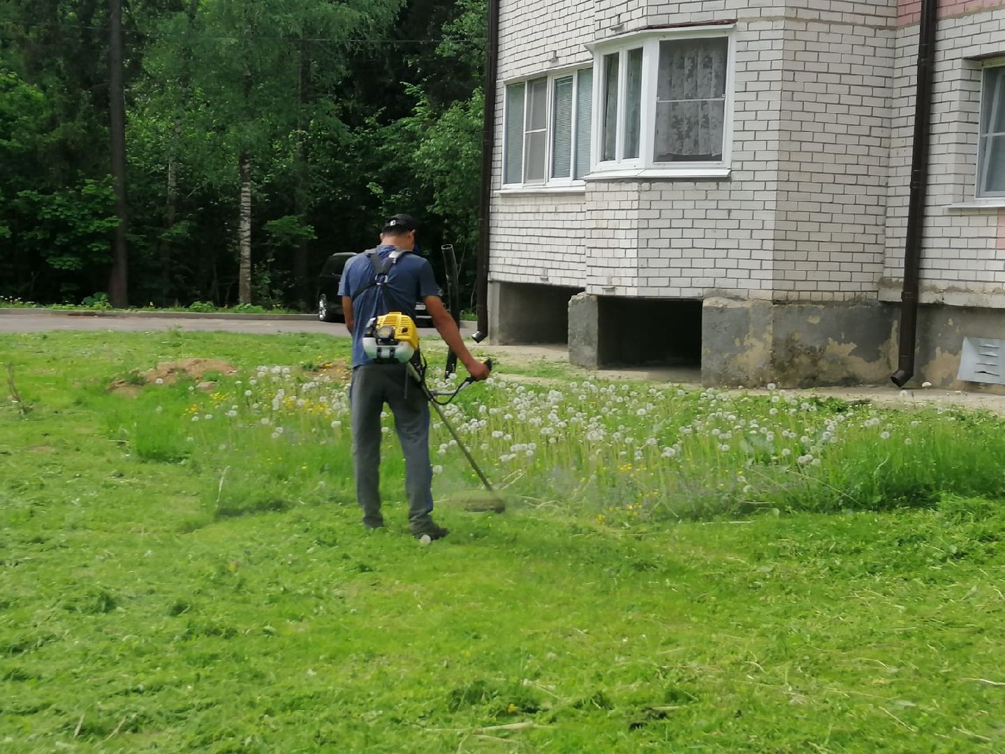 городской округ восход, благоустройство, газон, покос травы,