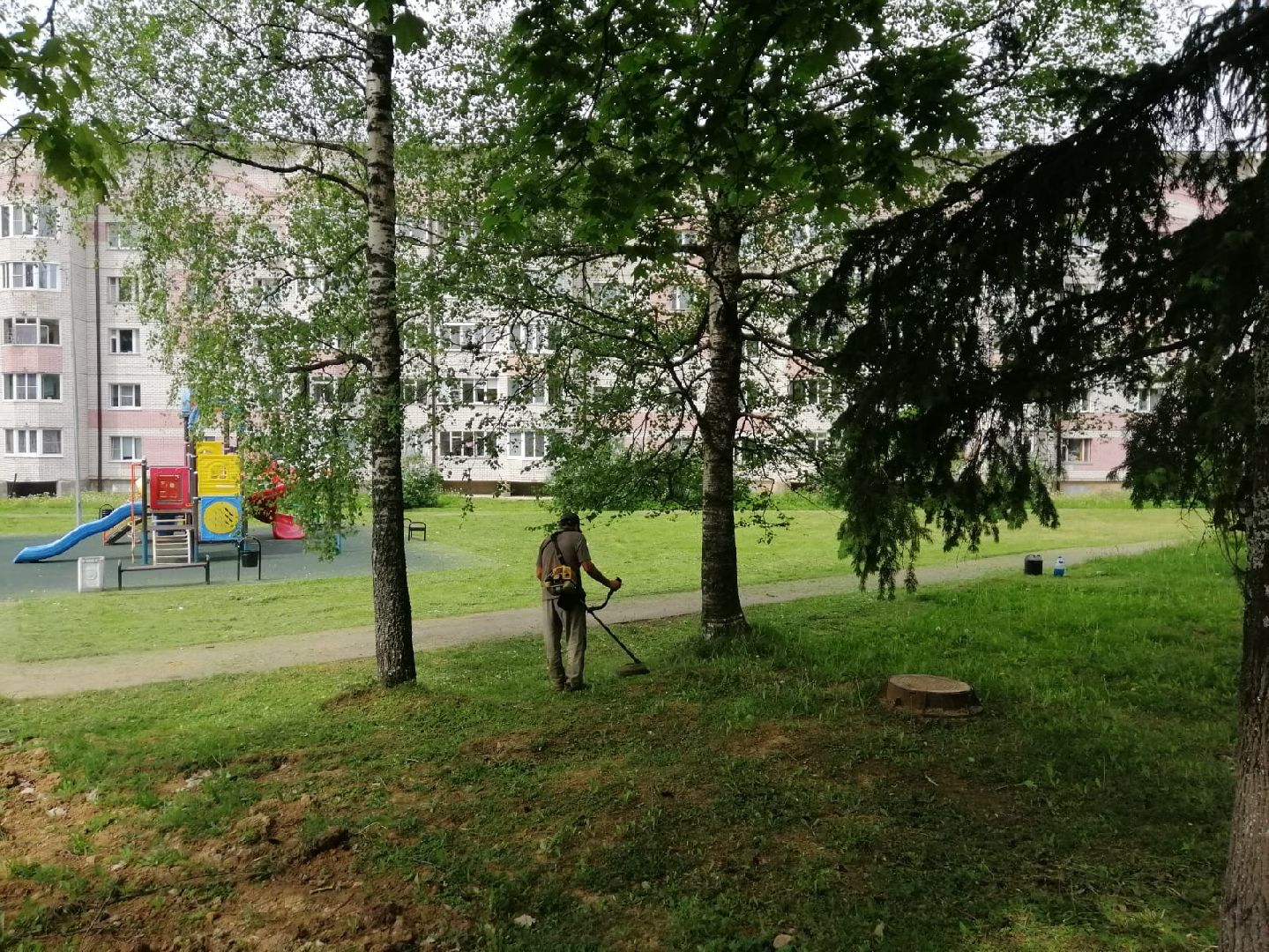 городской округ восход, благоустройство, газон, покос травы,