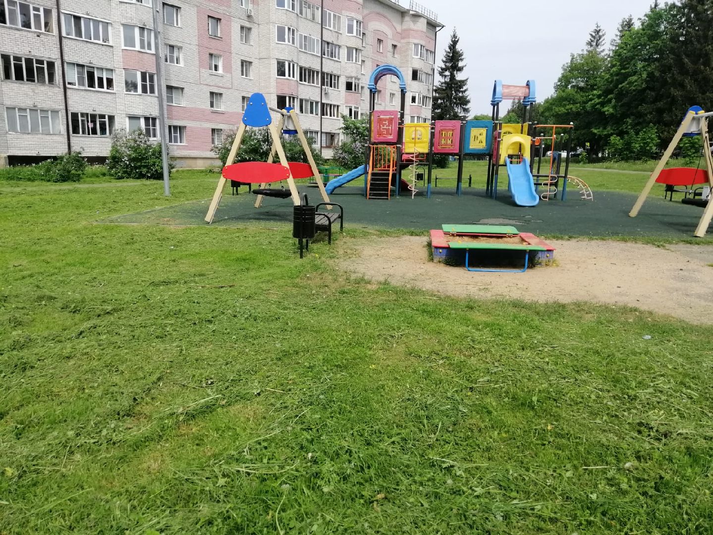 городской округ восход, благоустройство, газон, покос травы,