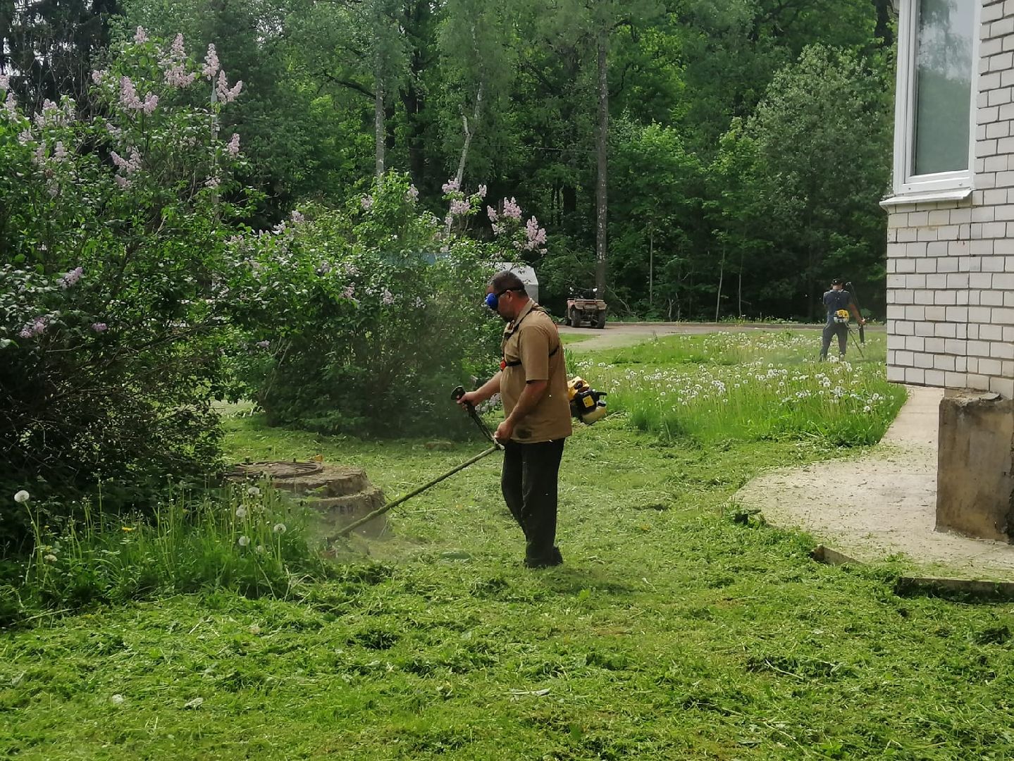 городской округ восход, благоустройство, газон, покос травы,