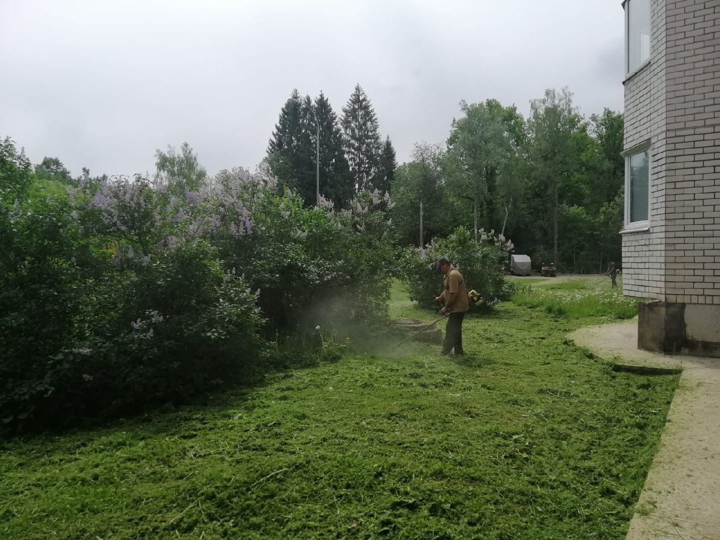 городской округ восход, благоустройство, газон, покос травы,
