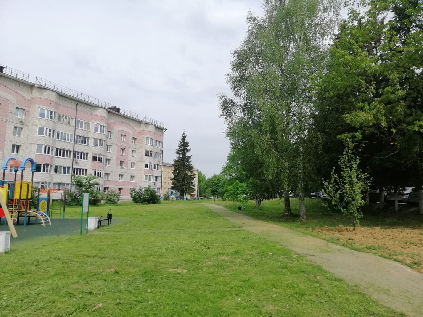 городской округ восход, благоустройство, газон, покос травы,