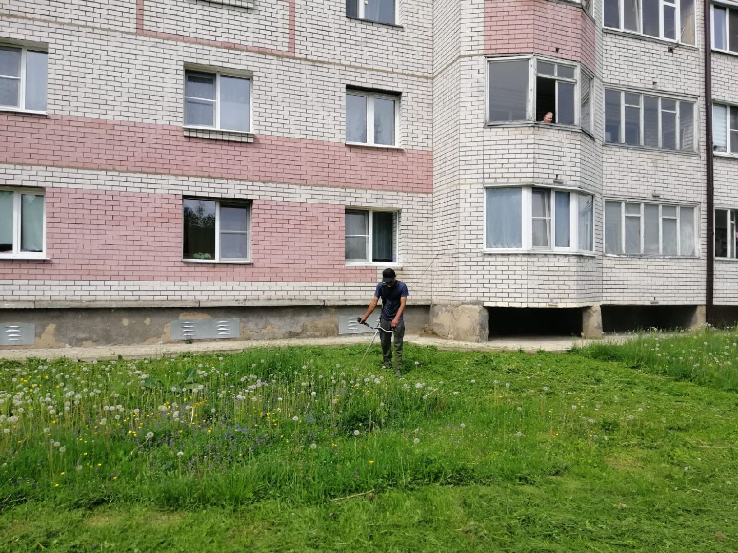 городской округ восход, благоустройство, газон, покос травы,