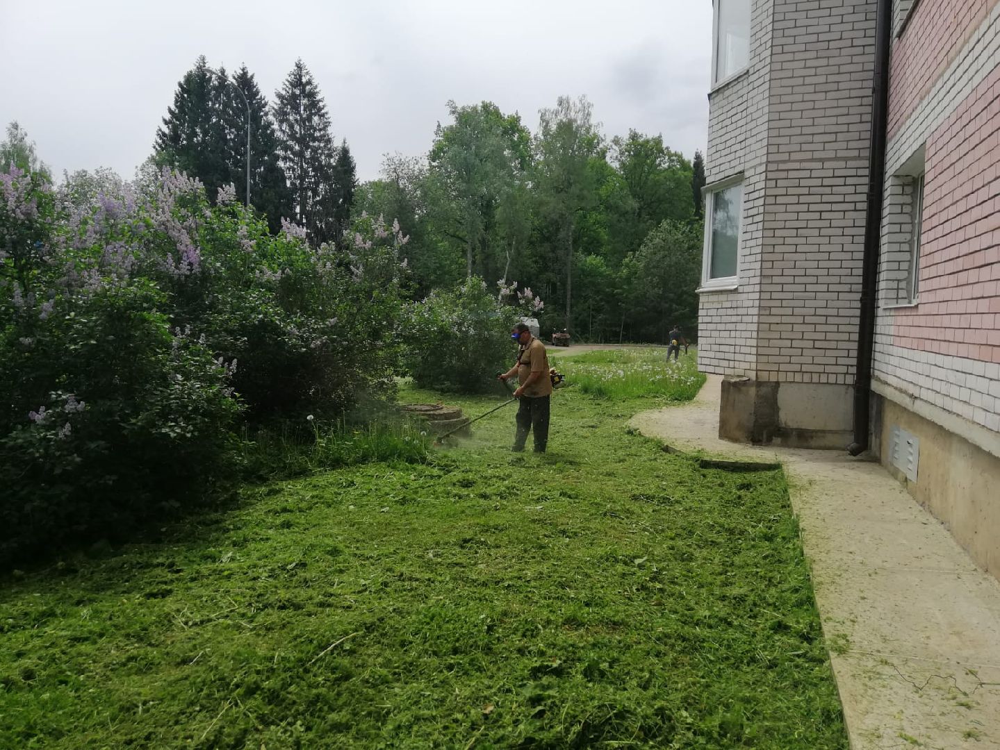 городской округ восход, благоустройство, газон, покос травы,