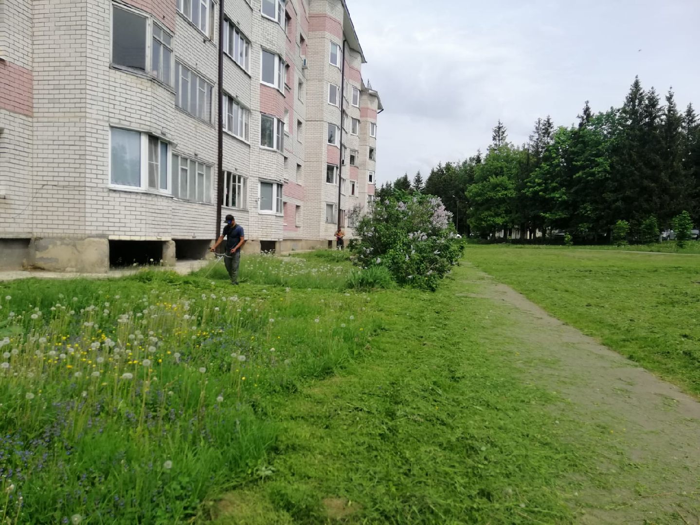 городской округ восход, благоустройство, газон, покос травы,