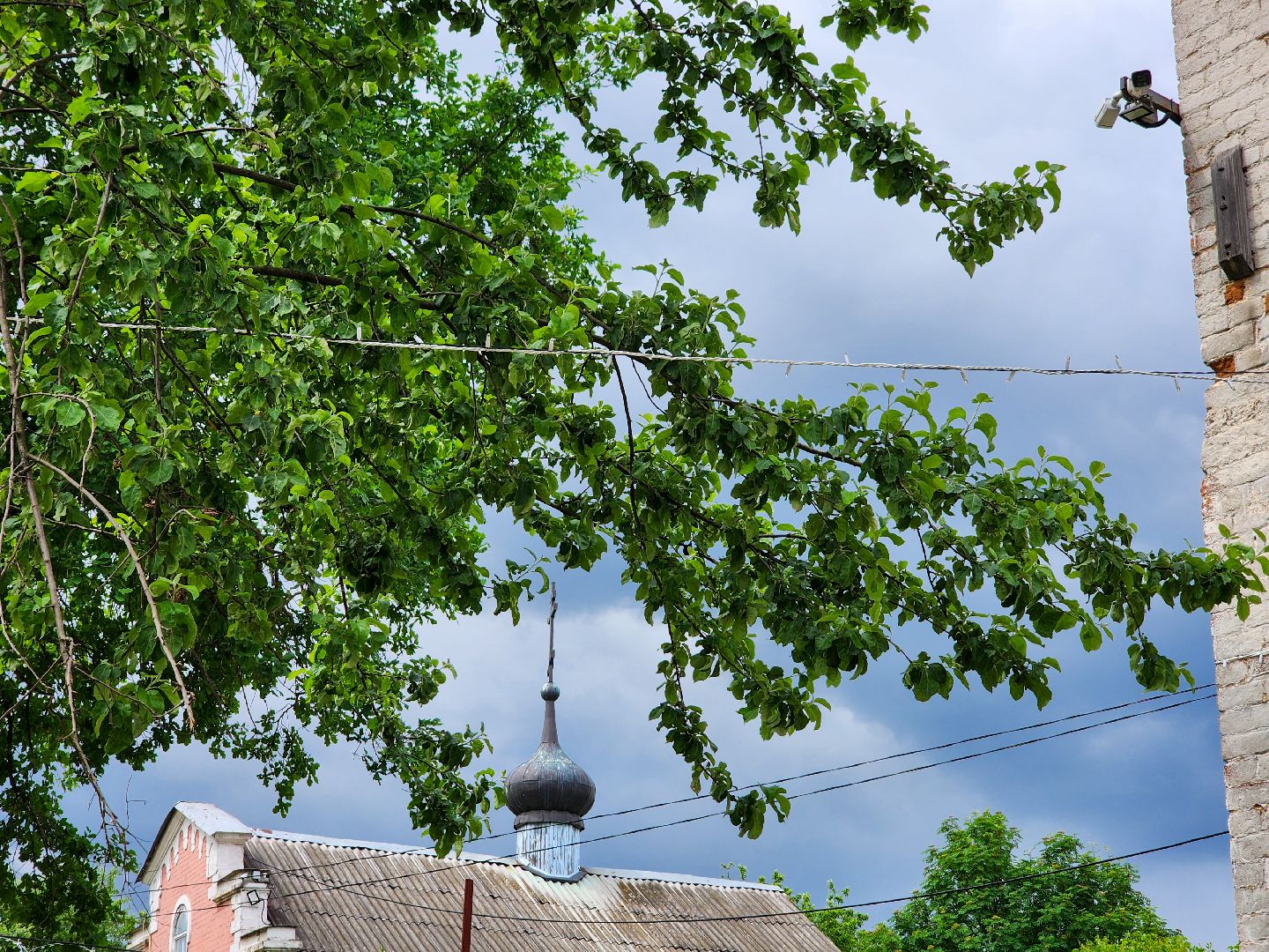 Подольск, пушкин, плещеево, день рождения пушкина,
