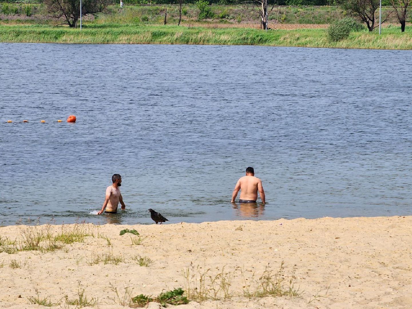 воскресенск, безопасность , отдых, вода,