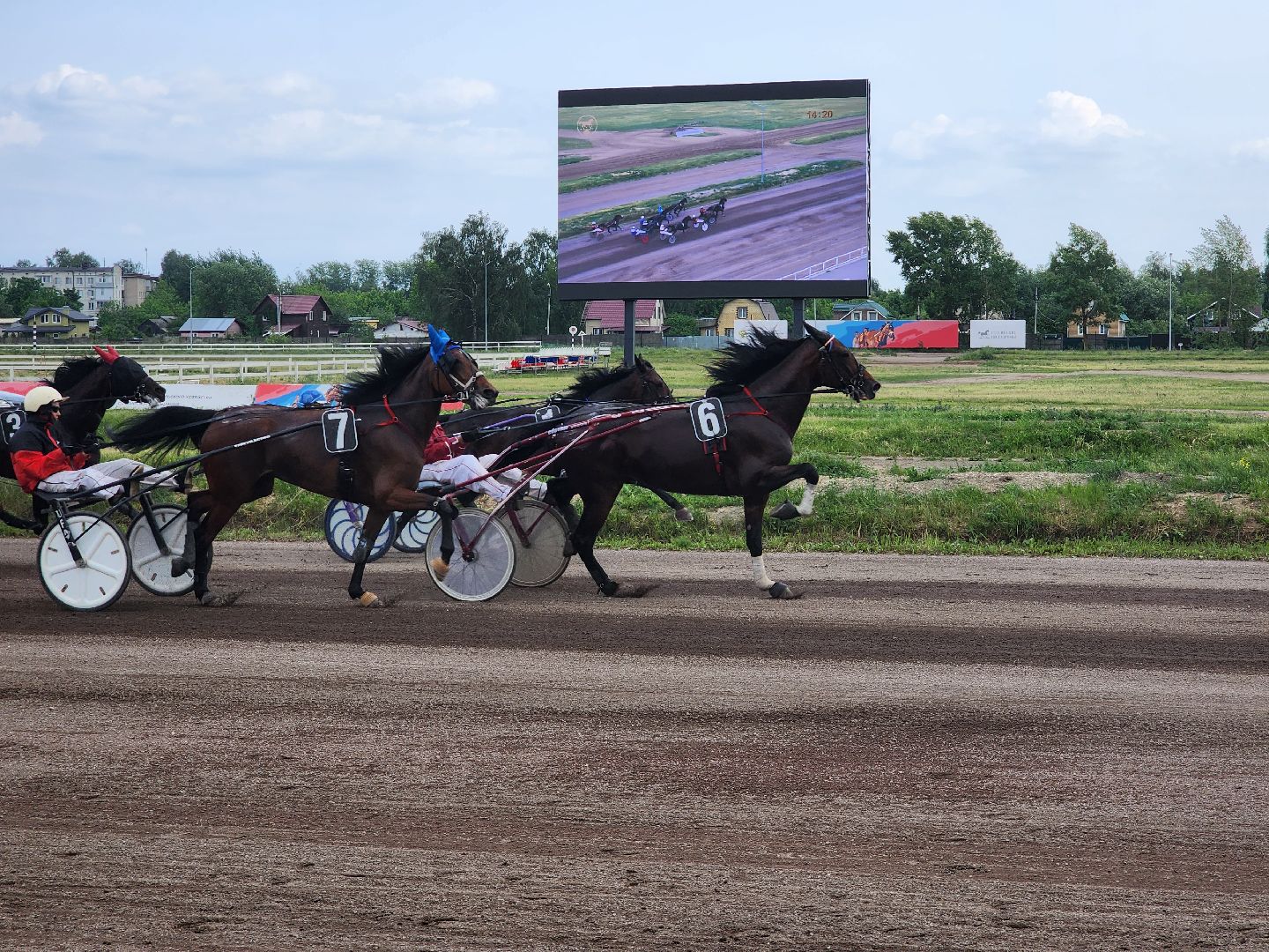 раменское, сельское хозяйство, раменский ипподром, испытания лошадей рысистых пород,