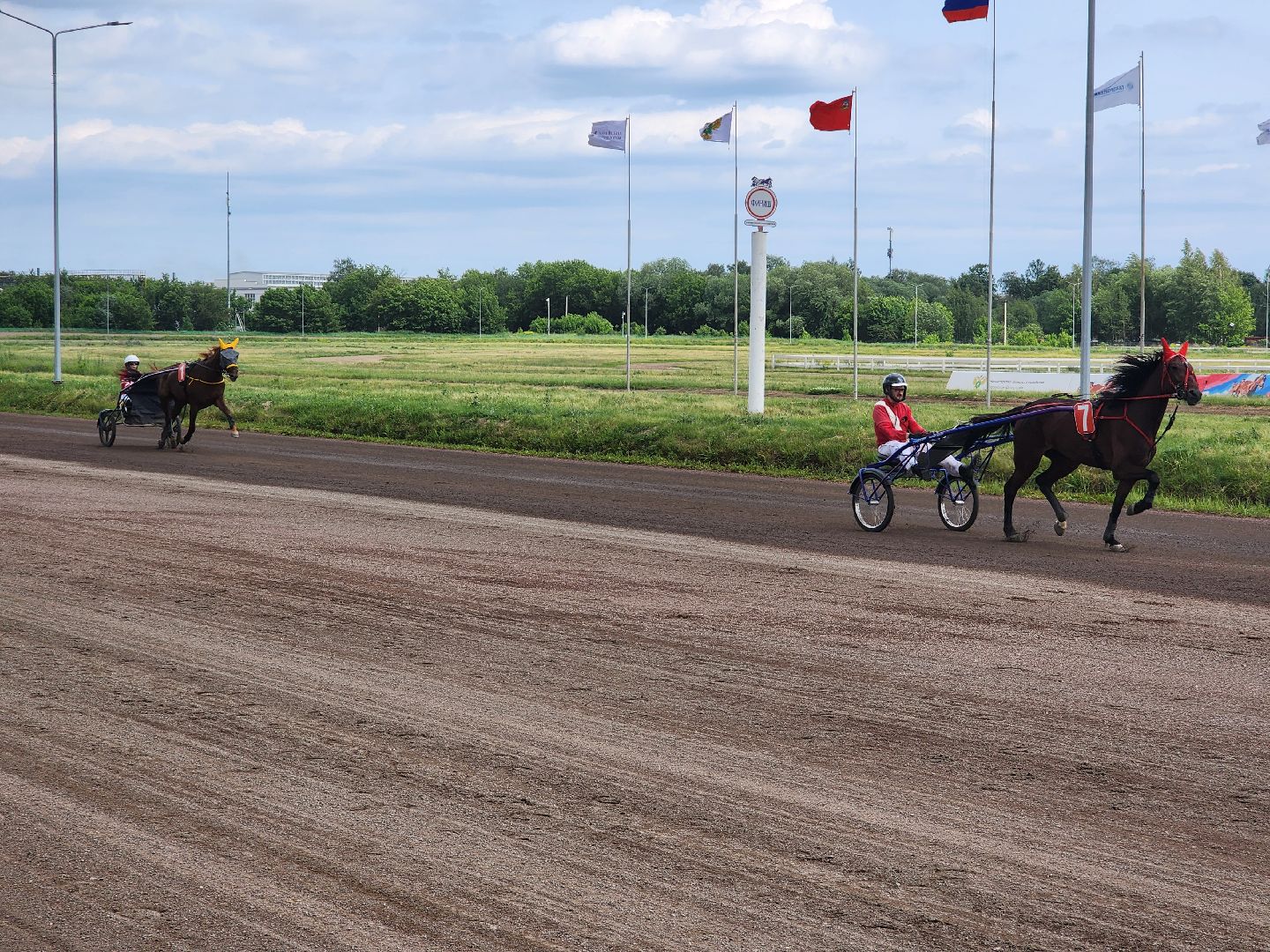 раменское, сельское хозяйство, раменский ипподром, испытания лошадей рысистых пород,