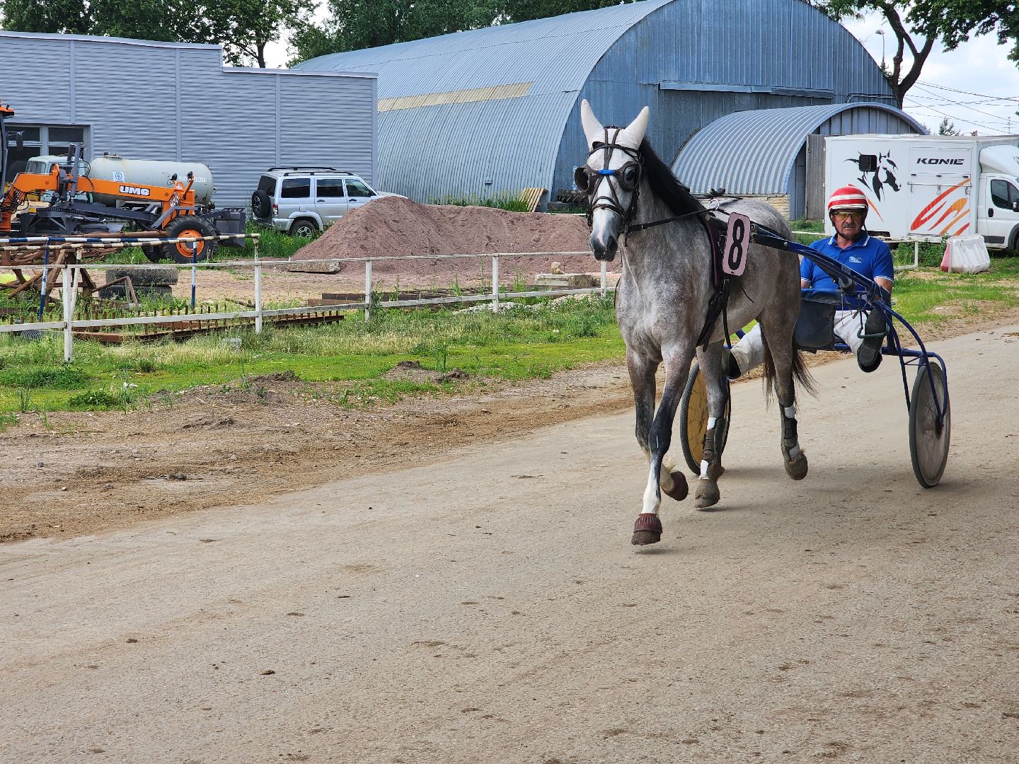 раменское, сельское хозяйство, раменский ипподром, испытания лошадей рысистых пород,