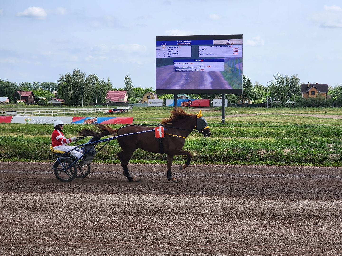 раменское, сельское хозяйство, раменский ипподром, испытания лошадей рысистых пород,