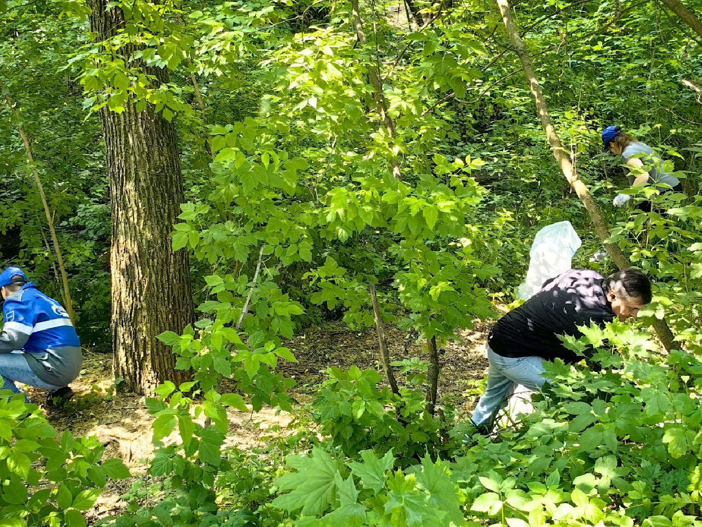 вода россии, акция, ручей, экология,