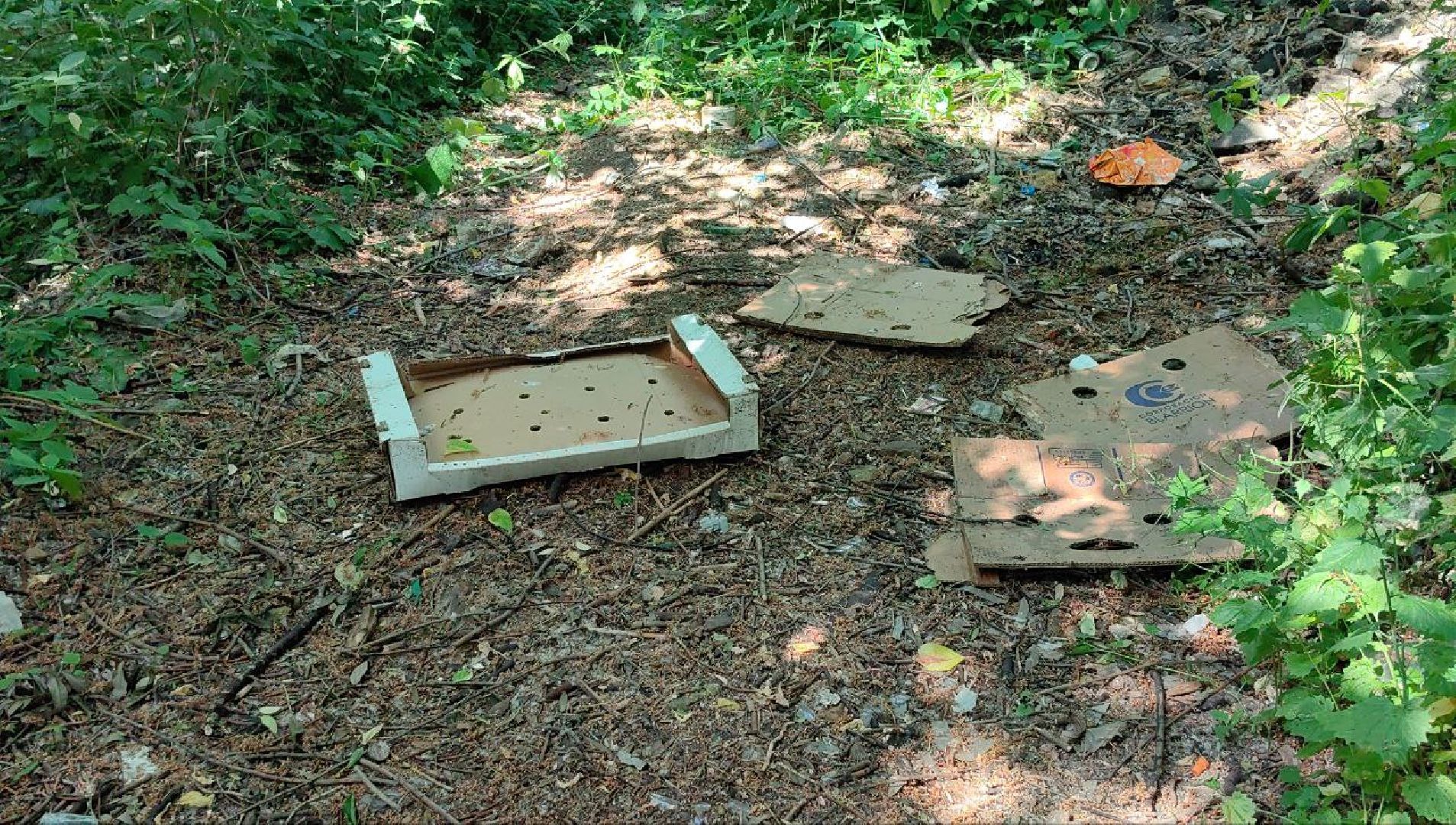 вода россии, акция, ручей, экология,