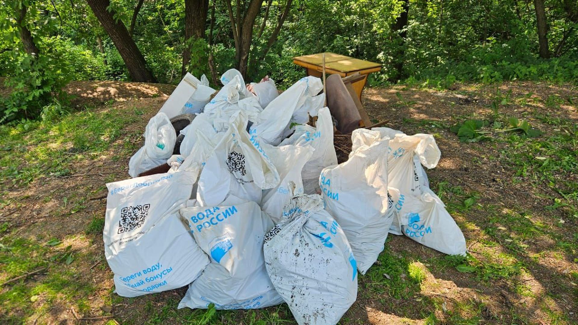 вода россии, акция, ручей, экология,