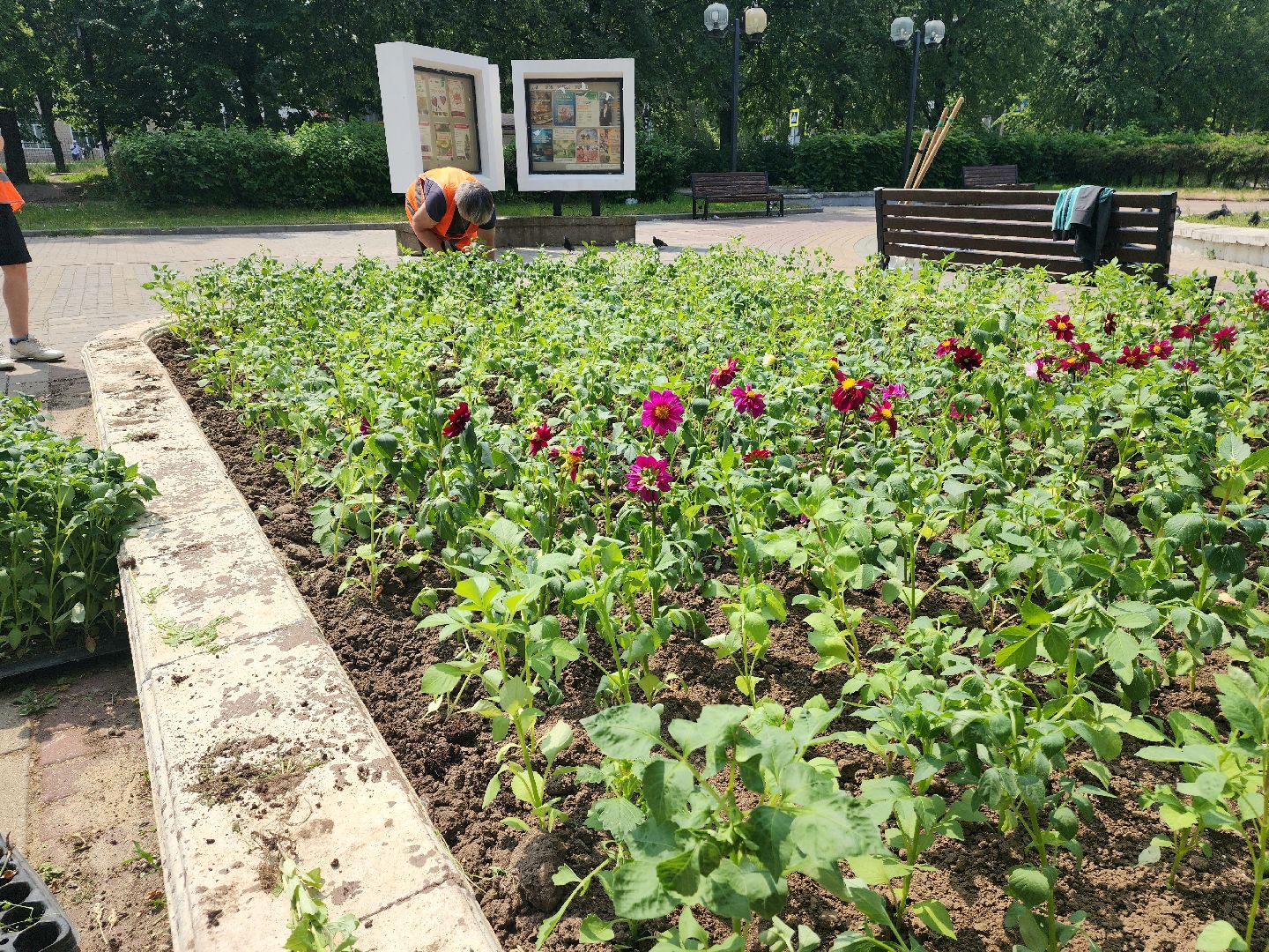 пущино, молодежь, серпухов, лето 2025,