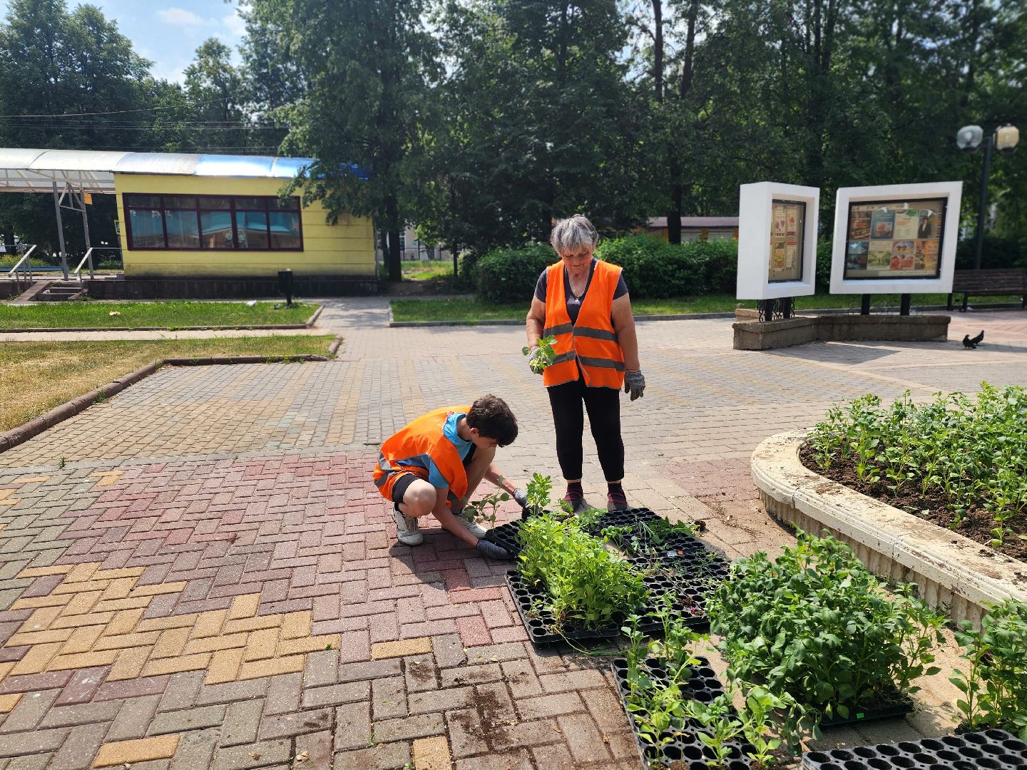 пущино, молодежь, серпухов, лето 2025,