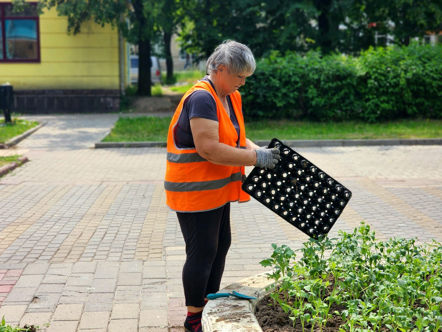 пущино, молодежь, серпухов, лето 2025,