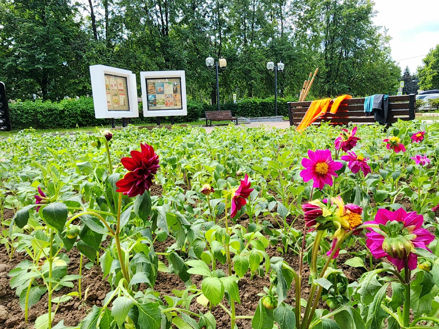 пущино, молодежь, серпухов, лето 2025,