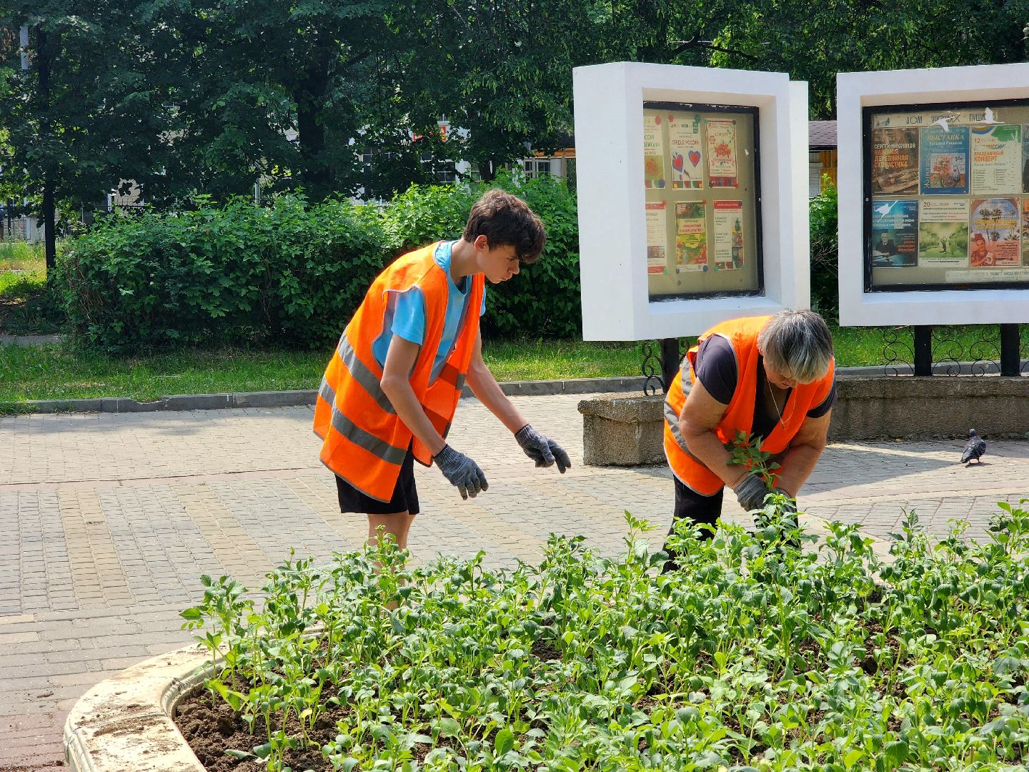 пущино, молодежь, серпухов, лето 2025,