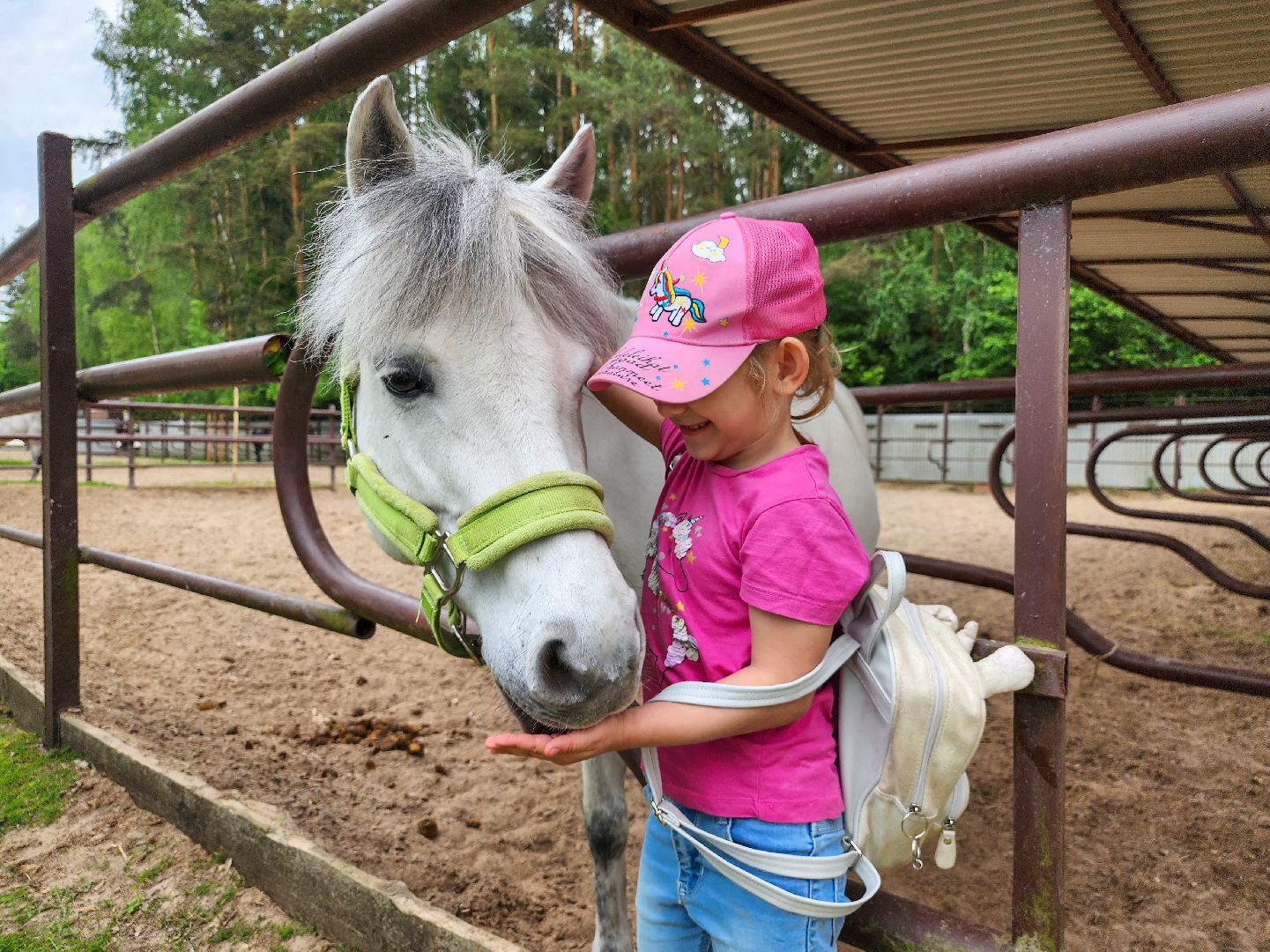 Подольск, Фаворит, отдых в подмосковье, Катание верхом, Лошади, Пони, семейный отдых,Природа,