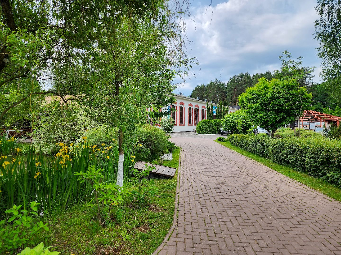 Подольск, Фаворит, отдых в подмосковье, Катание верхом, Лошади, Пони, семейный отдых,Природа,