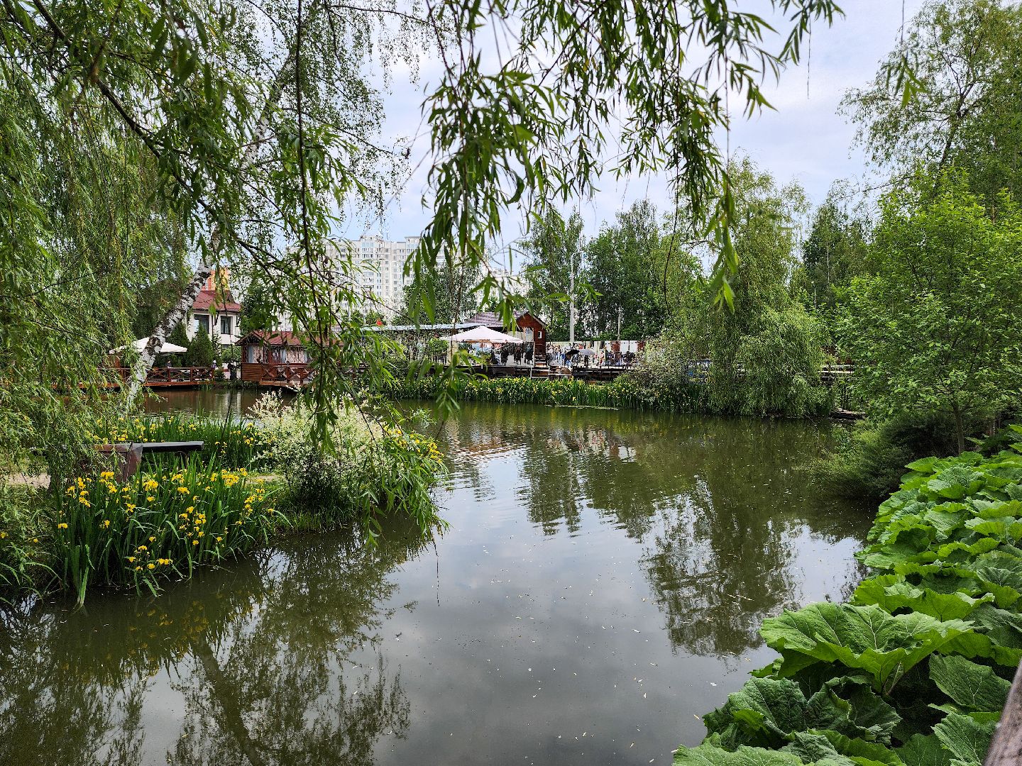 Подольск, Фаворит, отдых в подмосковье, Катание верхом, Лошади, Пони, семейный отдых,Природа,