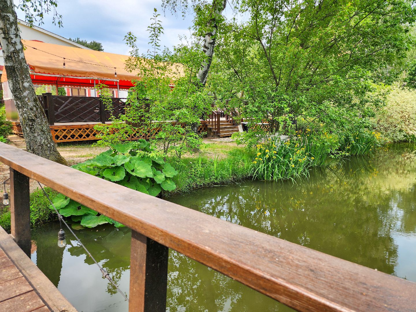 Подольск, Фаворит, отдых в подмосковье, Катание верхом, Лошади, Пони, семейный отдых,Природа,