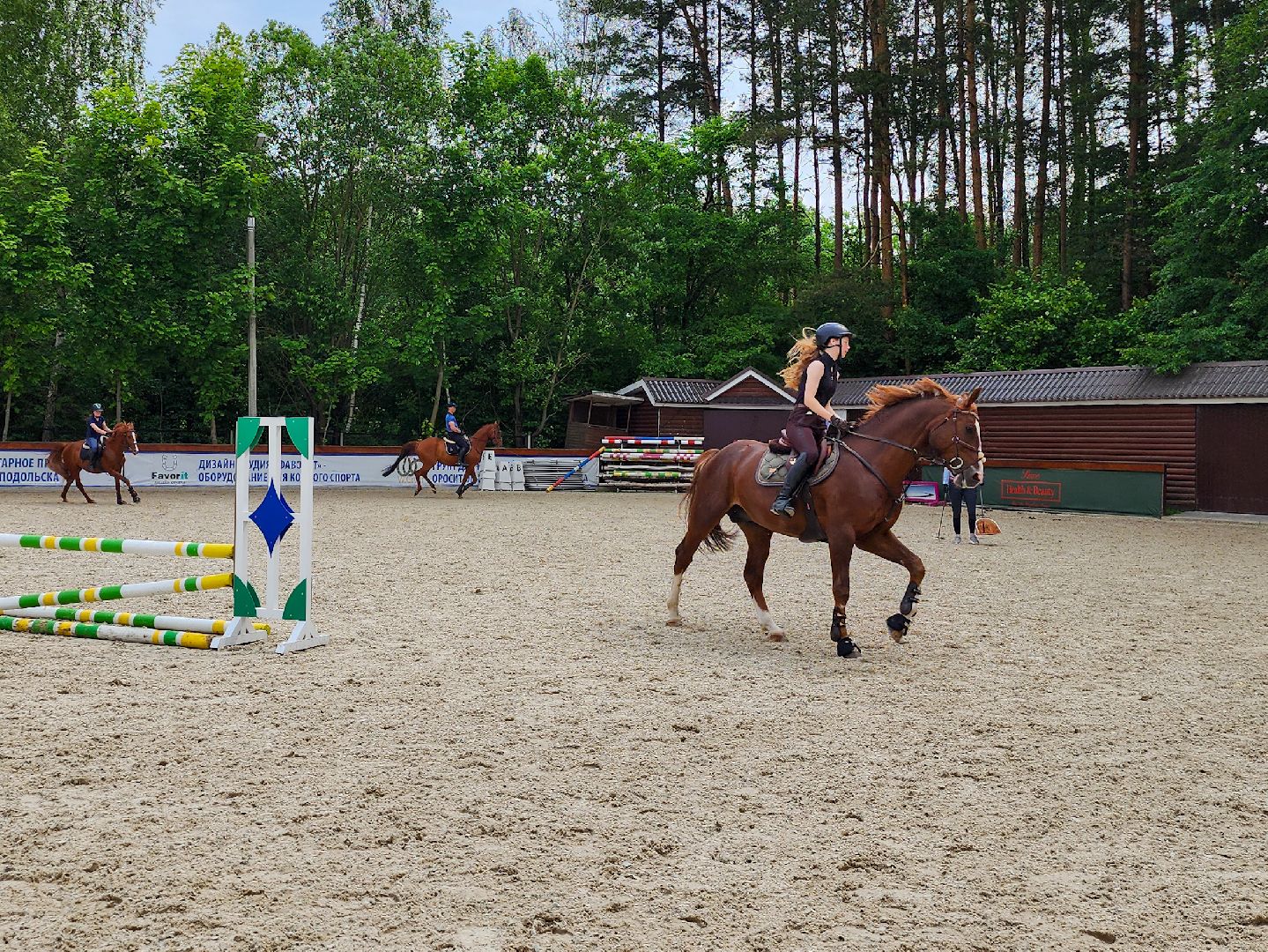 Подольск, Фаворит, отдых в подмосковье, Катание верхом, Лошади, Пони, семейный отдых,Природа,