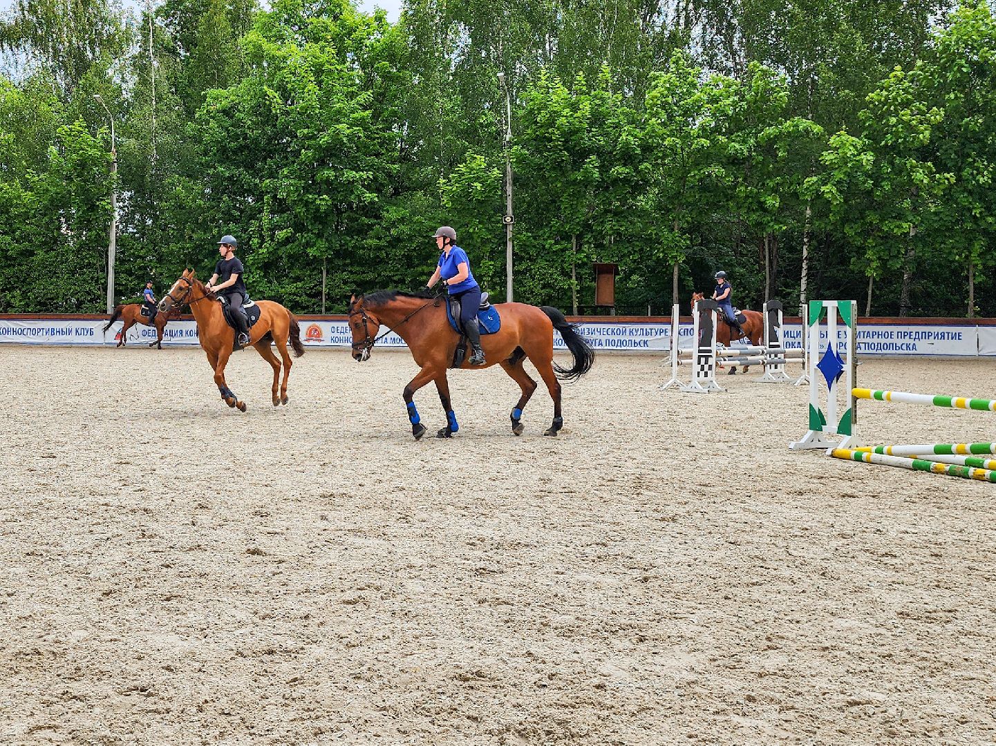 Подольск, Фаворит, отдых в подмосковье, Катание верхом, Лошади, Пони, семейный отдых,Природа,