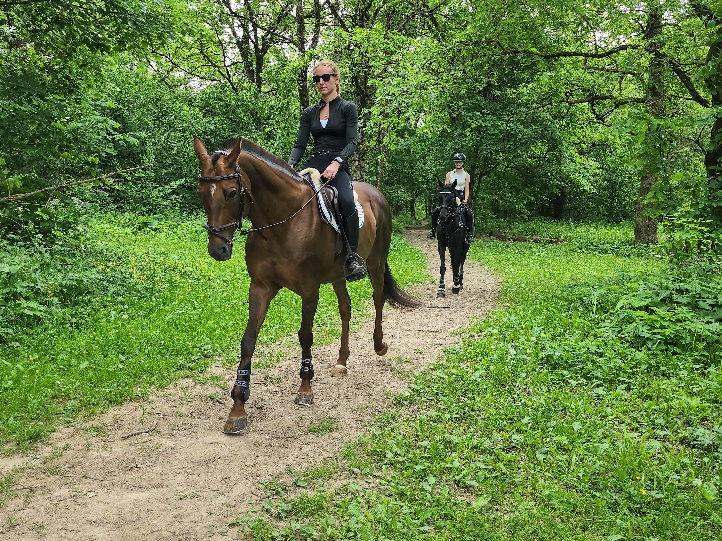 Подольск, Фаворит, отдых в подмосковье, Катание верхом, Лошади, Пони, семейный отдых,Природа,