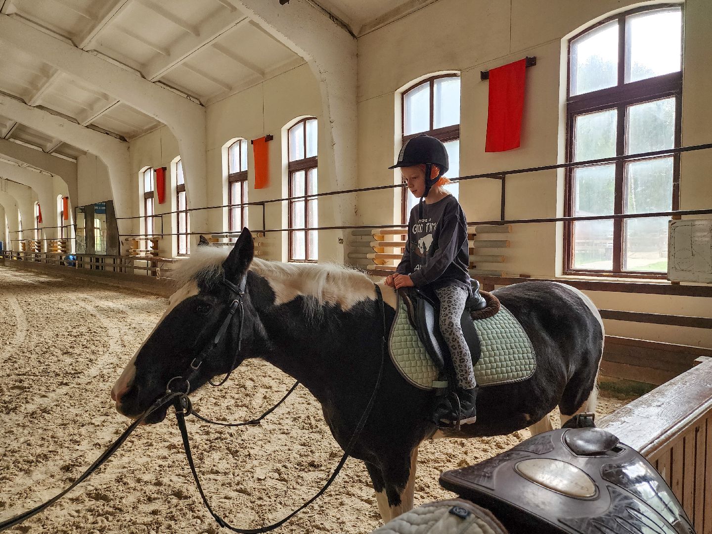 Подольск, Фаворит, отдых в подмосковье, Катание верхом, Лошади, Пони, семейный отдых,Природа,