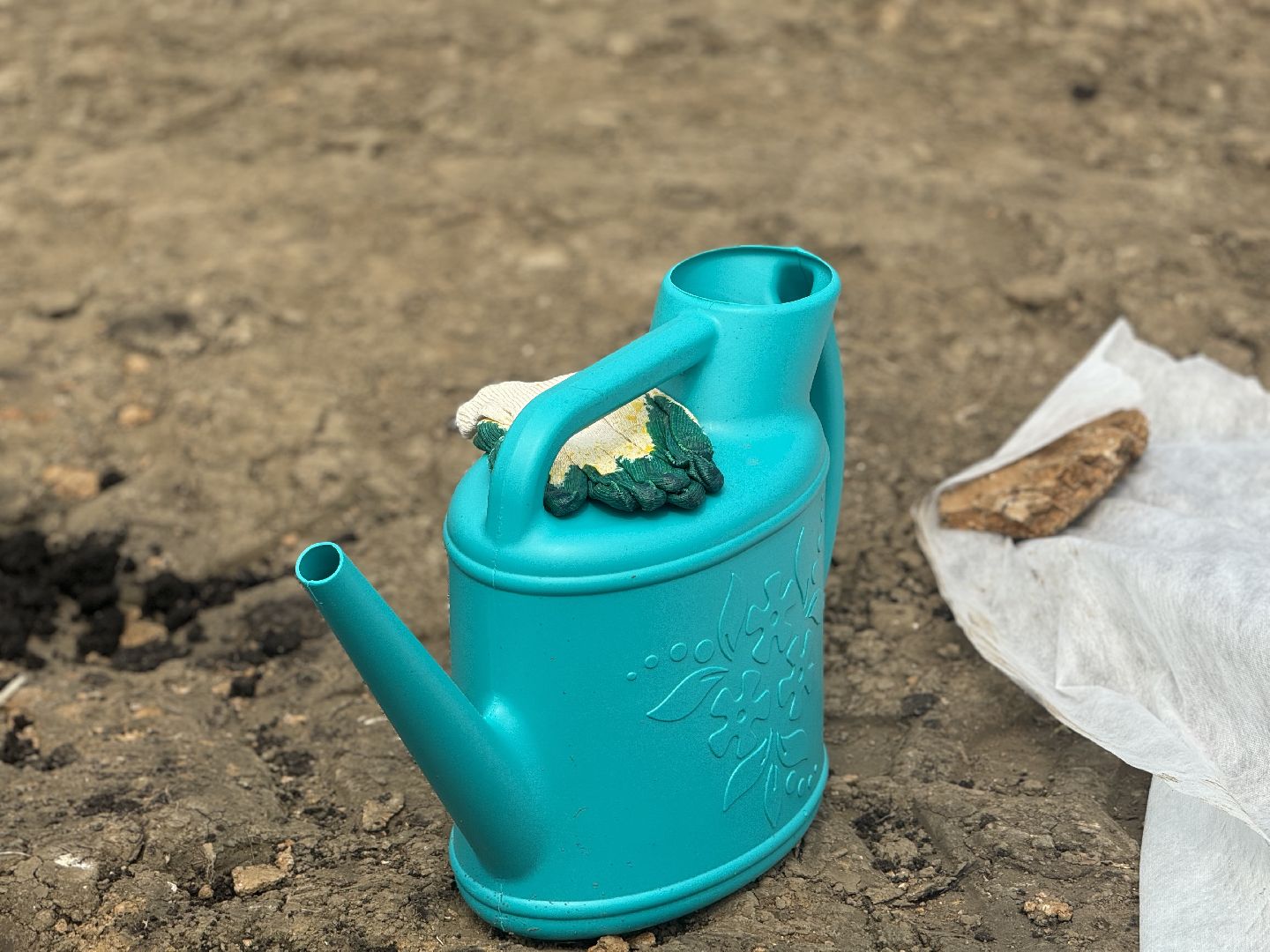 высадка деревьев, ленинский городской округ, пожарная часть,