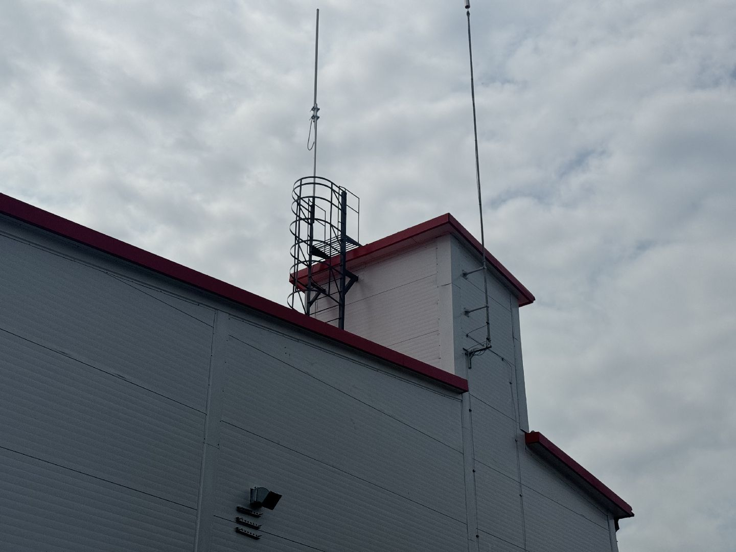 высадка деревьев, ленинский городской округ, пожарная часть,