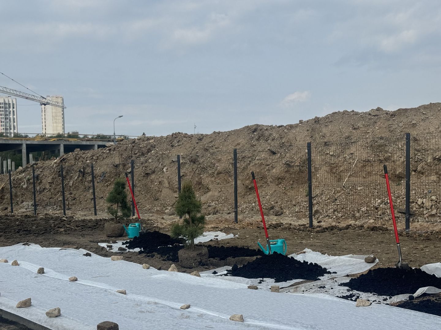 высадка деревьев, ленинский городской округ, пожарная часть,