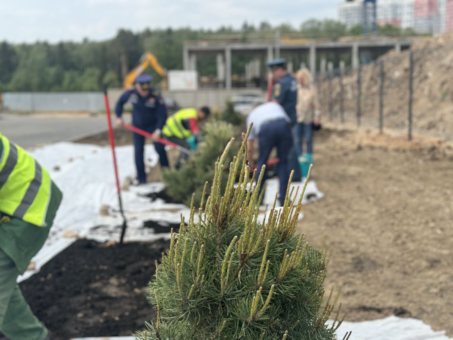 высадка деревьев, ленинский городской округ, пожарная часть,