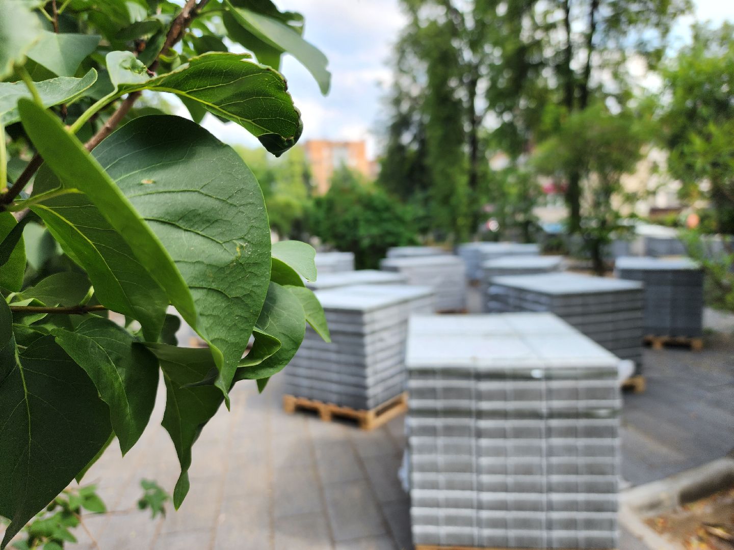 королёв, сквер у ркк энергия, благоустройство ,