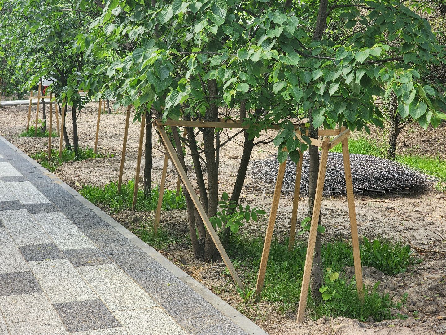 королёв, сквер у ркк энергия, благоустройство ,