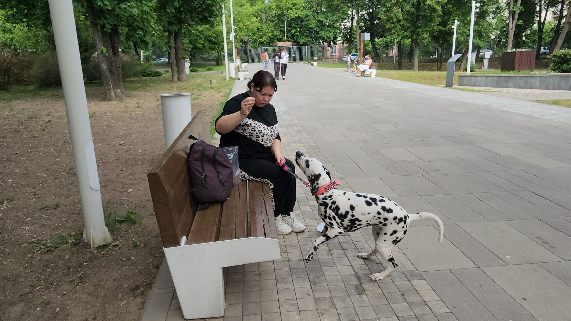 Истра, Парк, Досуг,